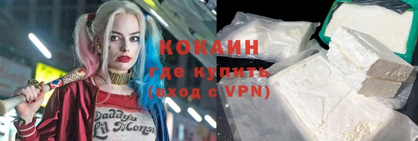 сатива Гусь-Хрустальный