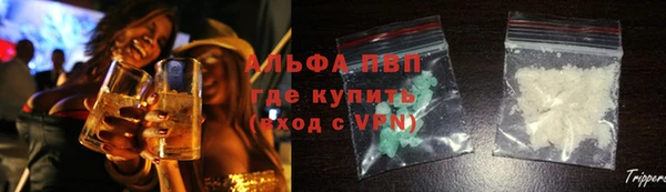 стаф Горнозаводск