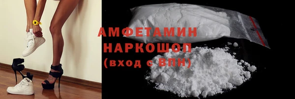 сатива Гусь-Хрустальный