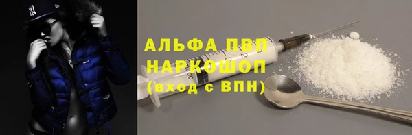 сатива Гусь-Хрустальный