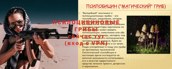 сатива Гусь-Хрустальный