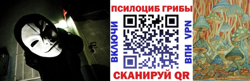 Галлюциногенные грибы мицелий  купить  сайты  Евпатория 